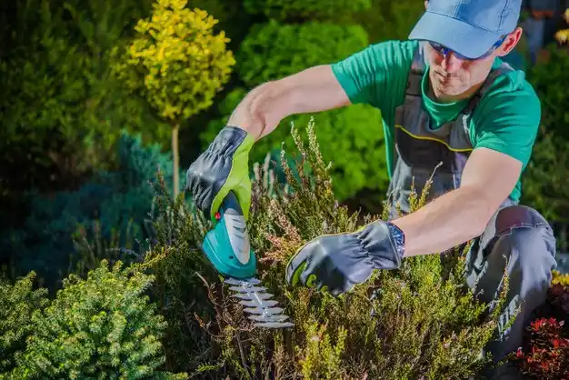 landscaping services Lebanon Junction